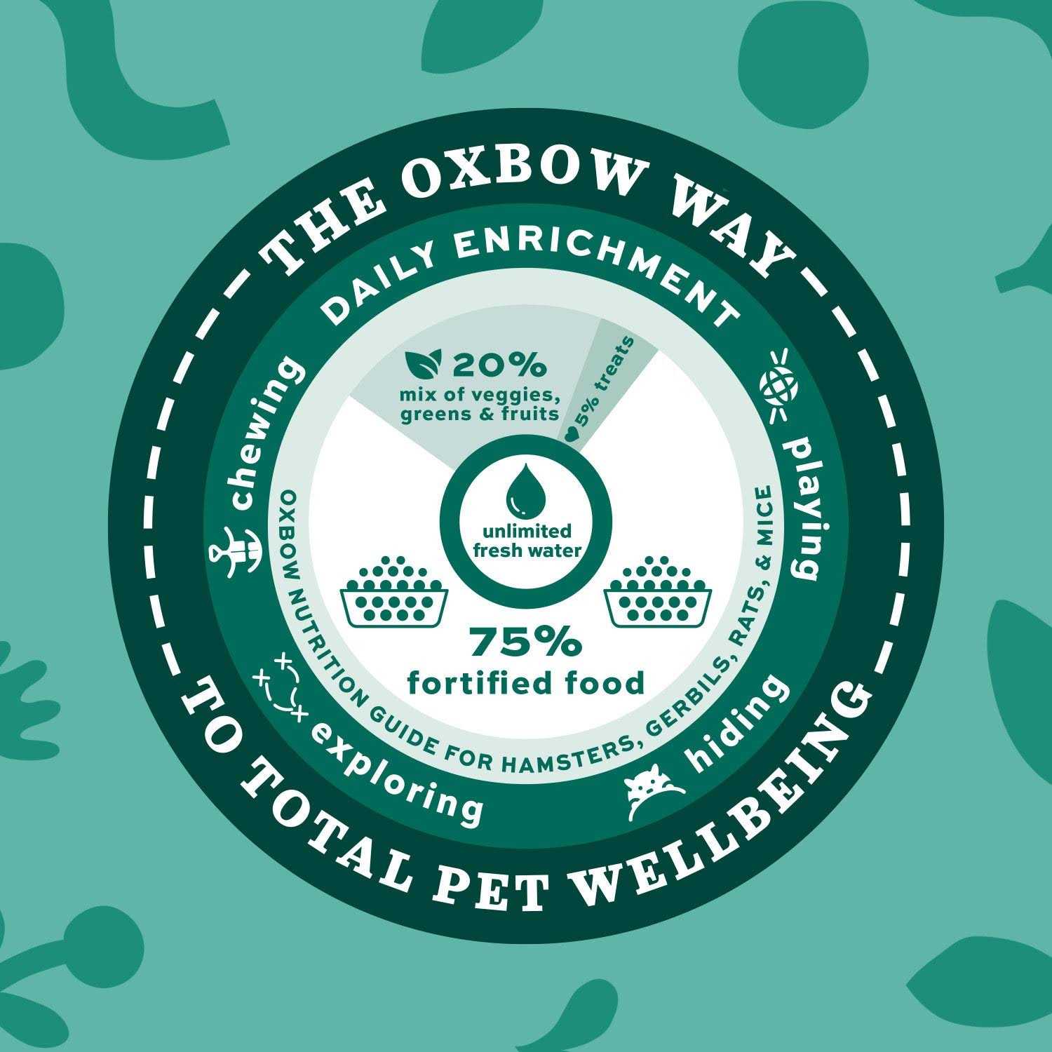 Oxbow Essentials Chinchilla Food - Image 5