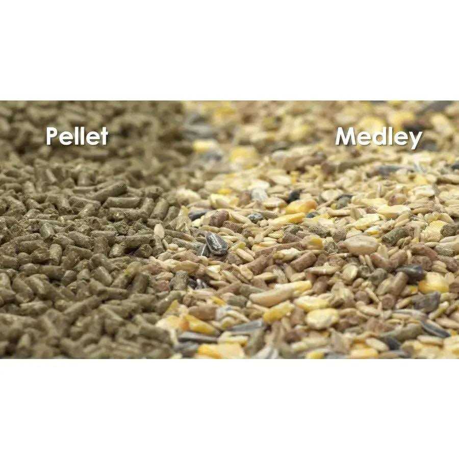 Kaytee Timothy Complete Rabbit Food - Image 4