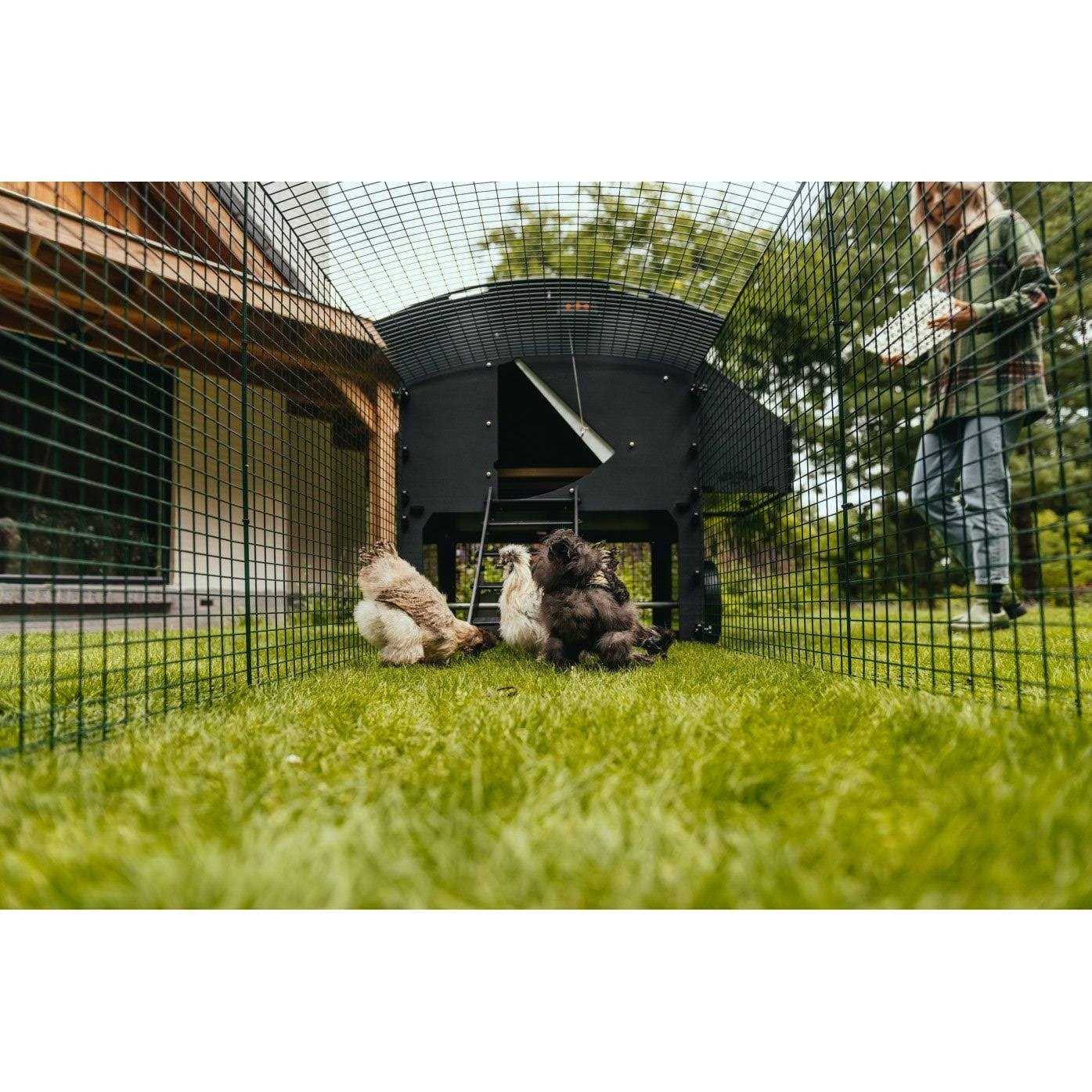 Nestera 6.5ft Run for large raised coop - Image 3