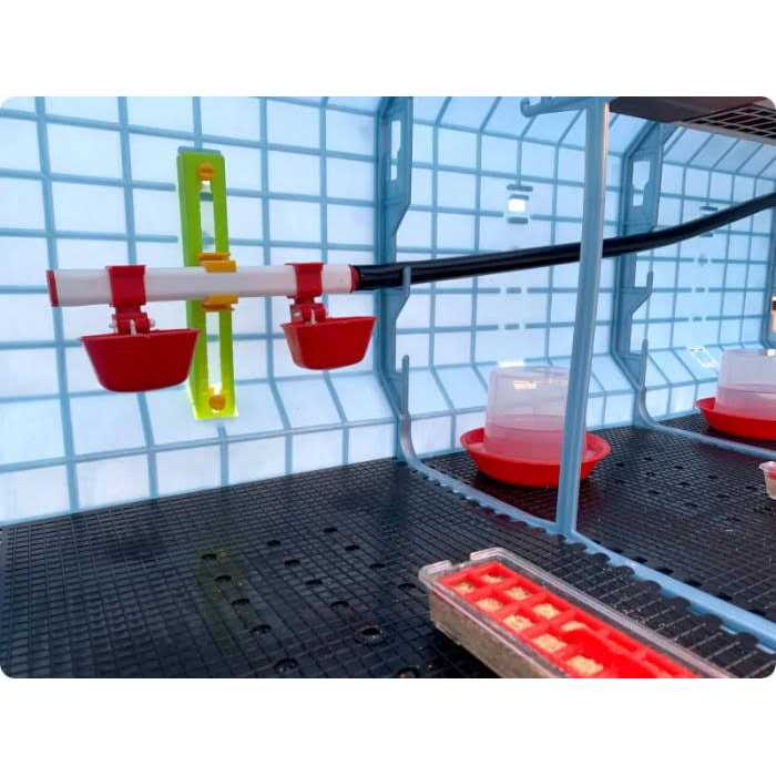 Hatching Time Chick Brooder 1 Layer H - Image 3