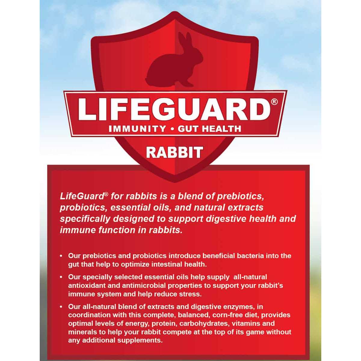 Kalmbach Feeds 50 lb 18% Best in Show Rabbit Feed - Image 3