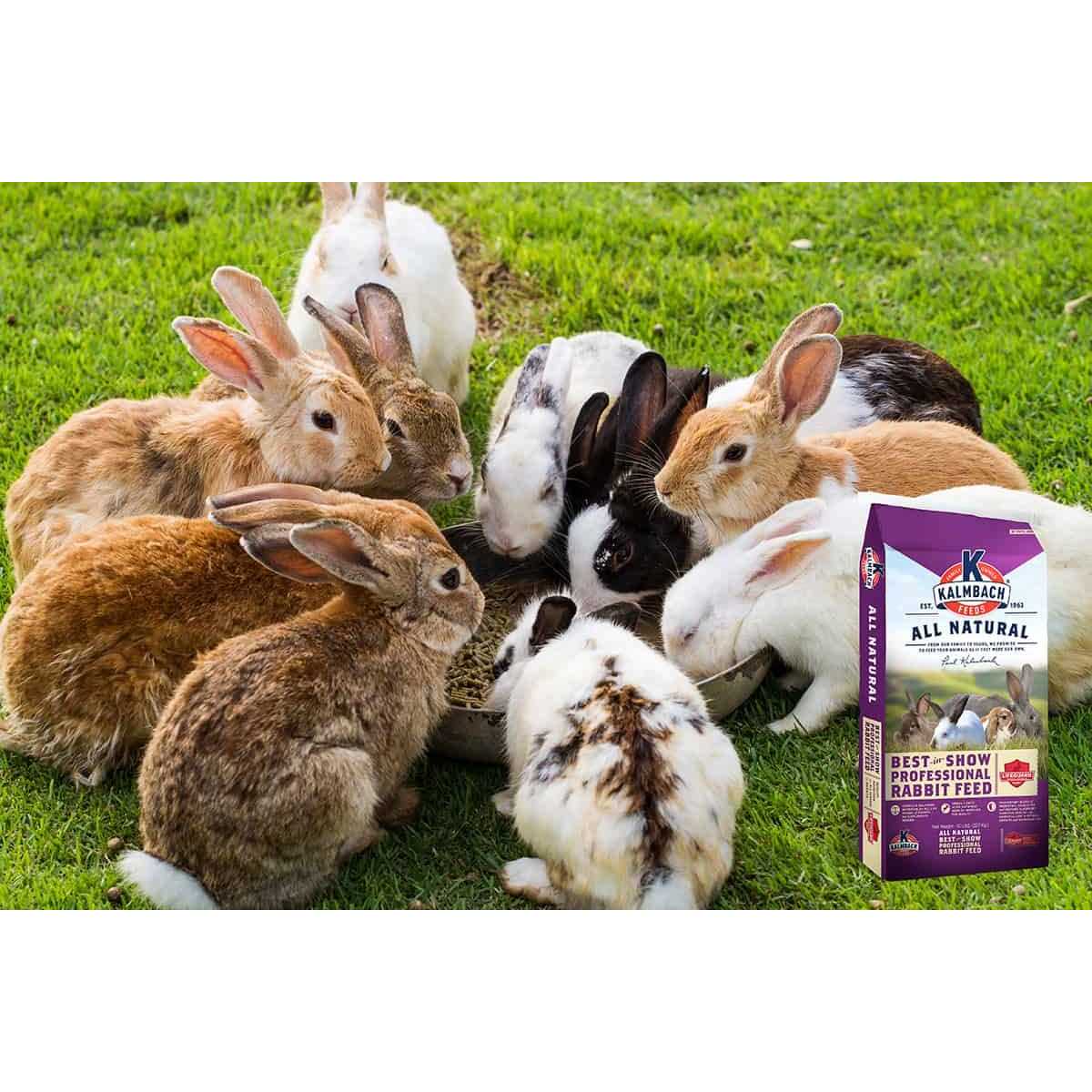 Kalmbach Feeds 50 lb 18% Best in Show Rabbit Feed - Image 4