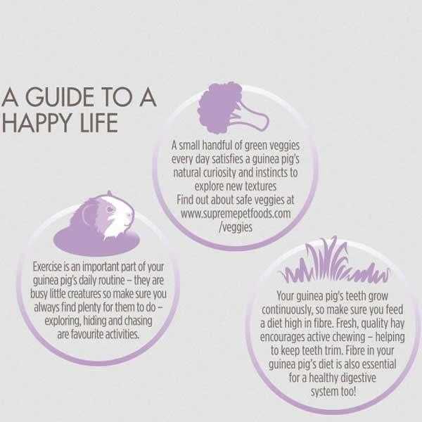 Science Selective Grain Free Guinea Pig Food - Image 4