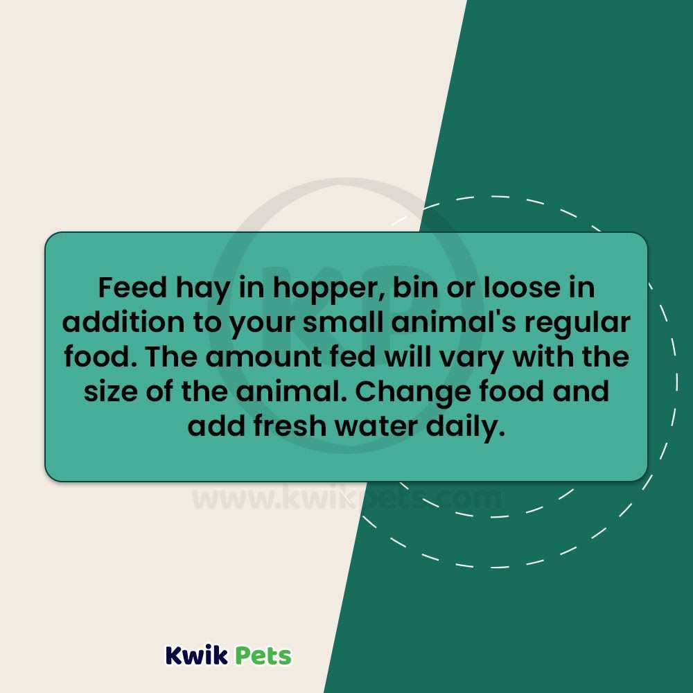 Kaytee Orchard Grass - Image 4