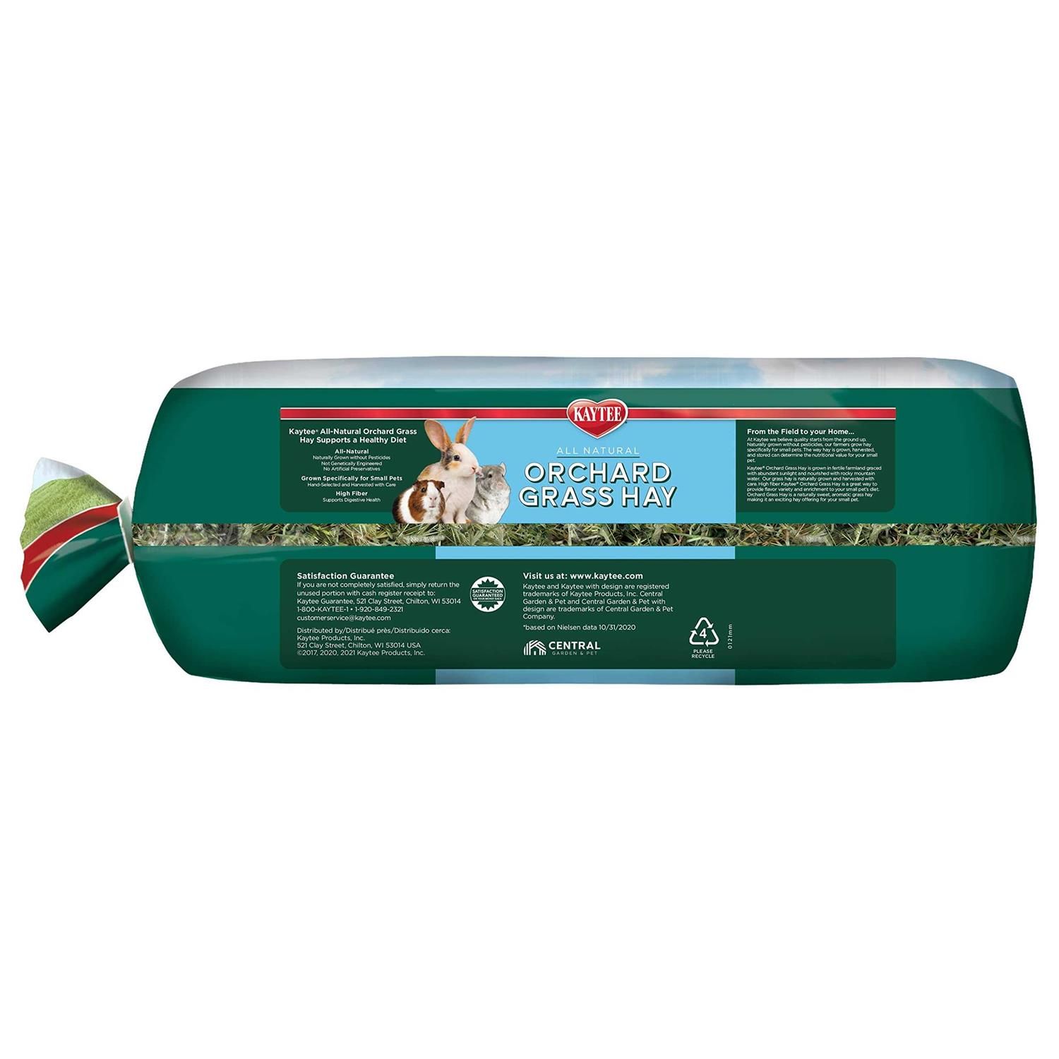 Kaytee Orchard Grass - Image 5