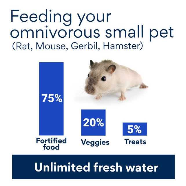 Sweet Meadow Farm Chamomile Healthy Herb Small Animal Treat - Image 3