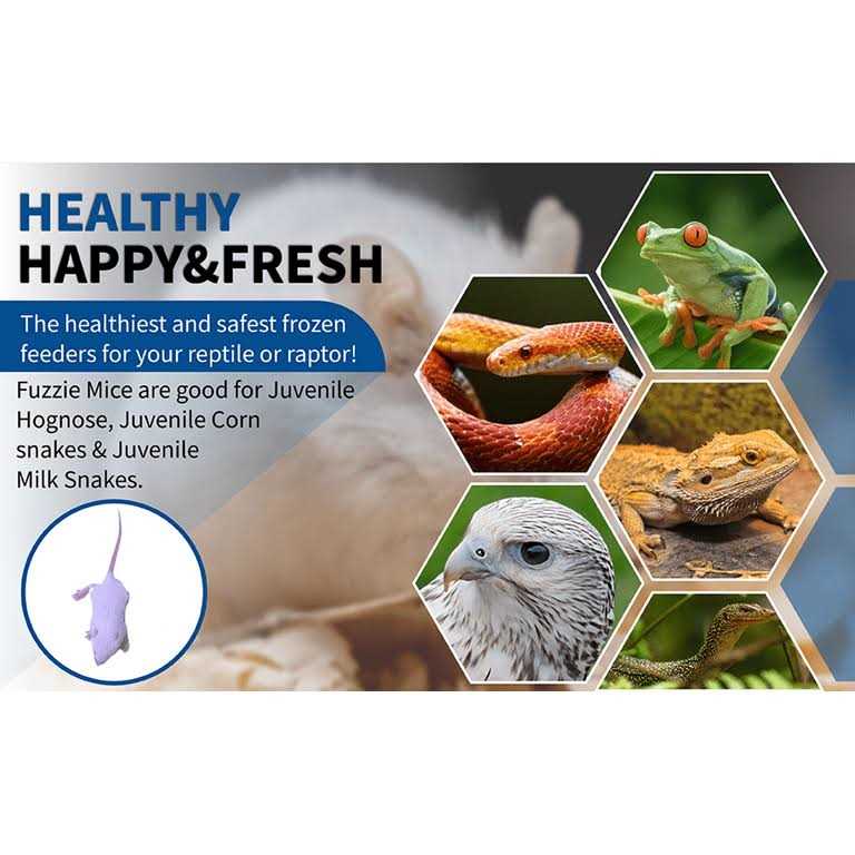 MiceDirect Frozen Mice Feeders Large Mice Fuzzies & Mice Hoppers Snake Food Combo Pack, 150 Count - Image 4