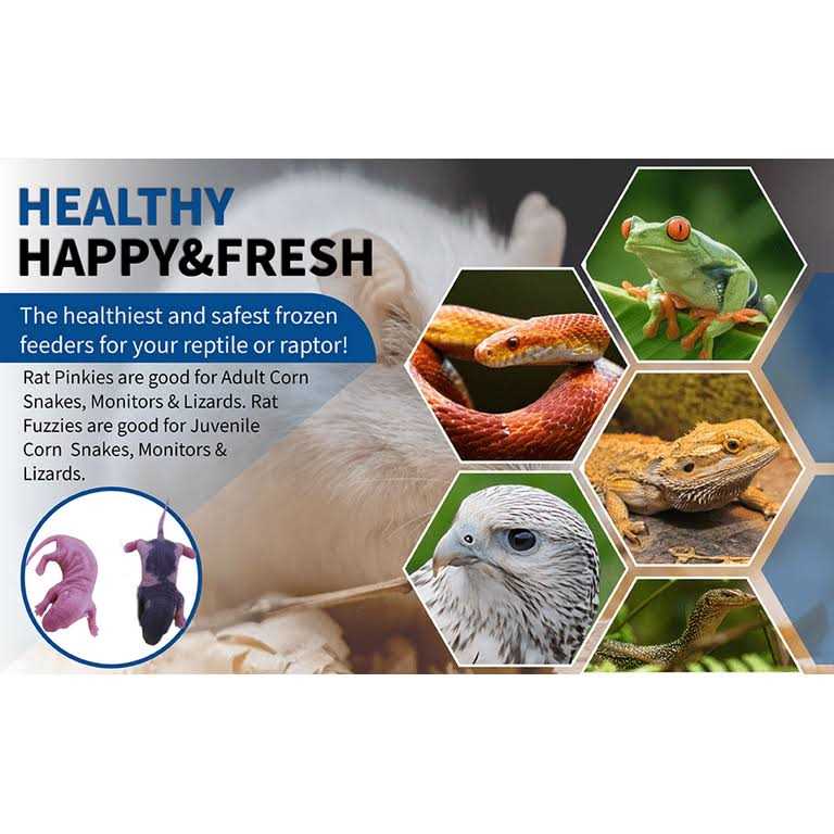 MiceDirect Frozen Mice Feeders Large Mice Fuzzies & Mice Hoppers Snake Food Combo Pack, 150 Count - Image 4