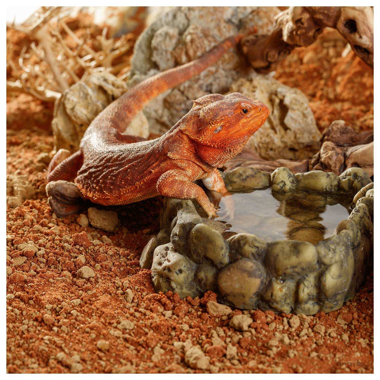 Exo Terra Stone Desert Substrate - Image 3