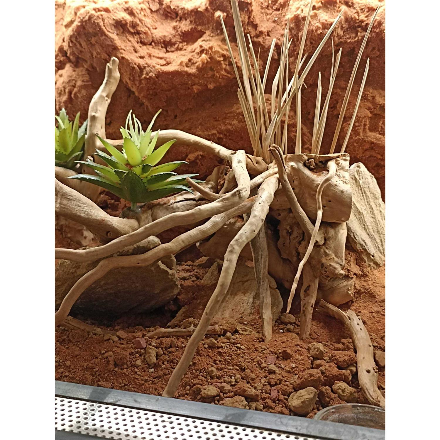 Exo Terra Stone Desert Substrate - Image 4