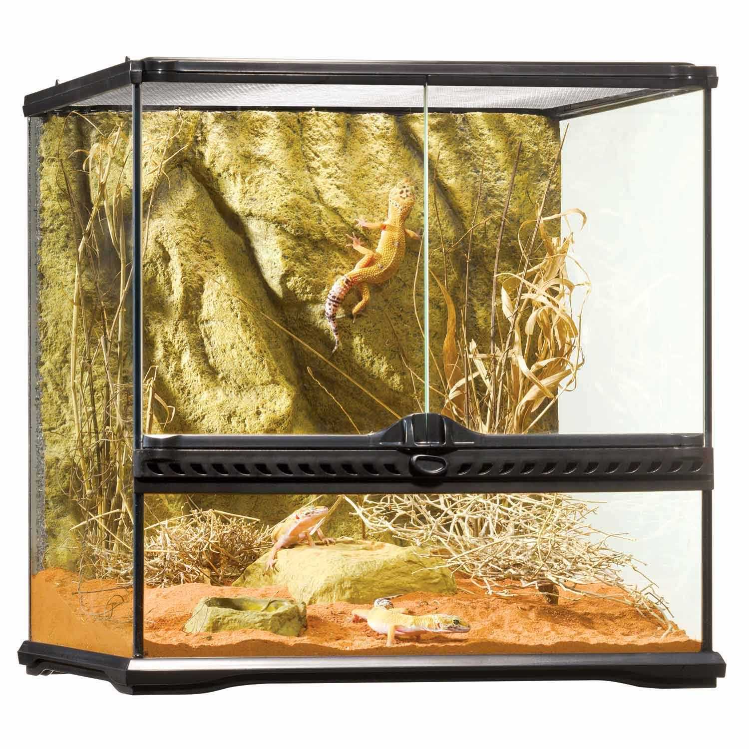 Exo Terra Glass Terrarium - Image 3