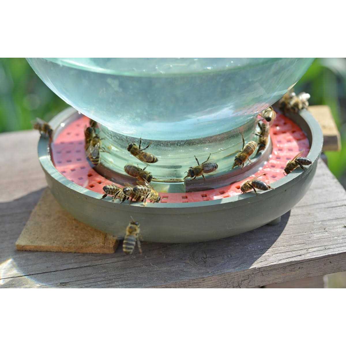 ZAVHOZ Bees Feeding Bowl Bee Feeder Hive Water Drinker Sugar Syrup Drinking Dispenser Tool Plastic Mesh Dish Beehive Apiary Accessory Beekeeping - Image 3