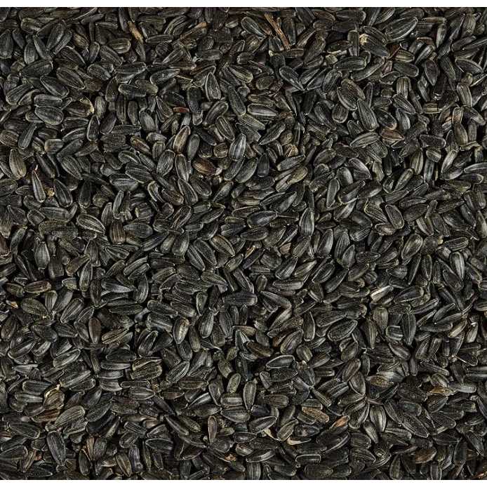 Kaytee Striped Sunflower Wild Bird Food - Image 4