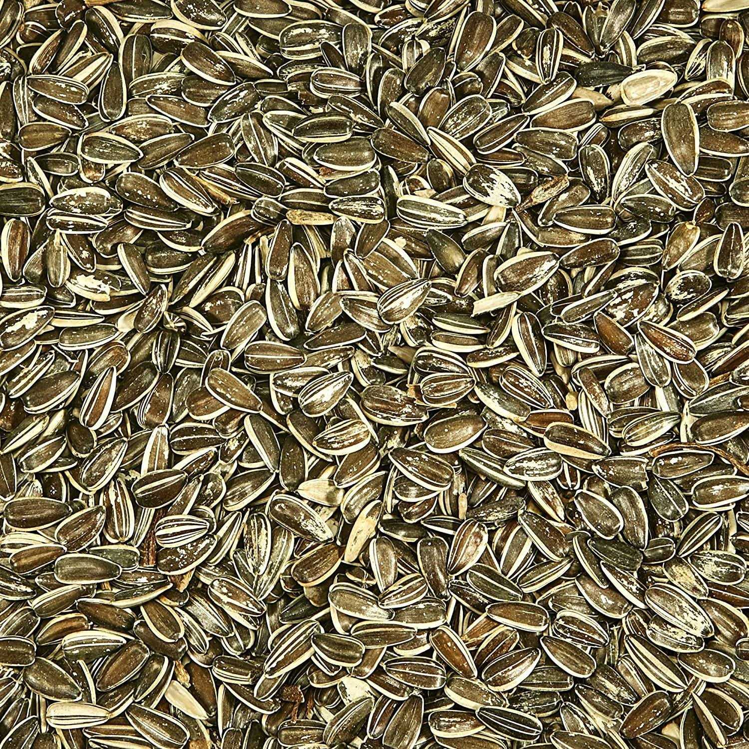 Kaytee Striped Sunflower Wild Bird Food - Image 5