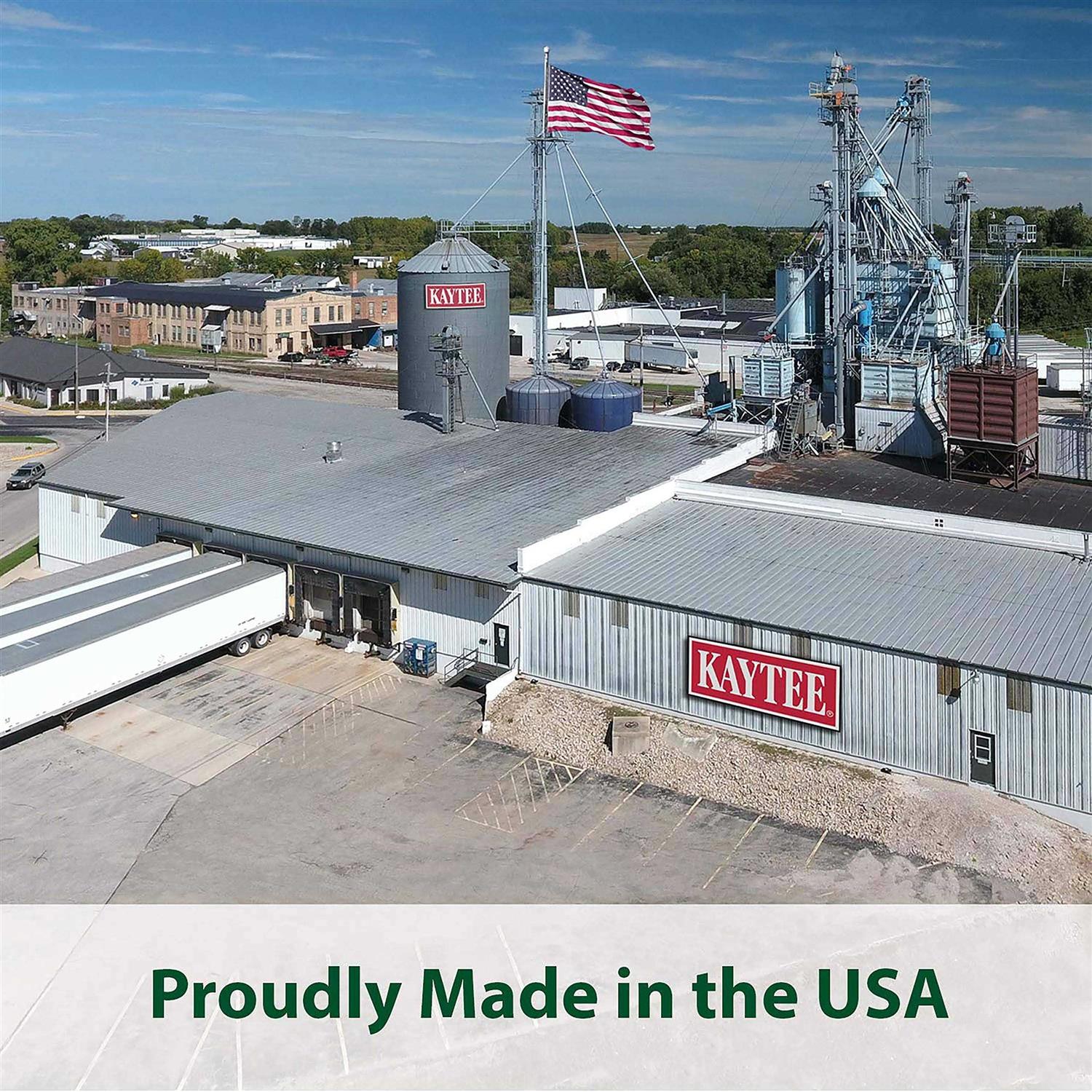 Kaytee Nyjer Seed Wild Bird Food - Image 3