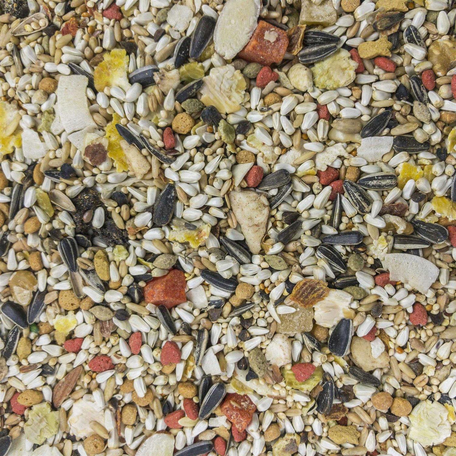 Higgins Sunburst Conure Food - Image 4