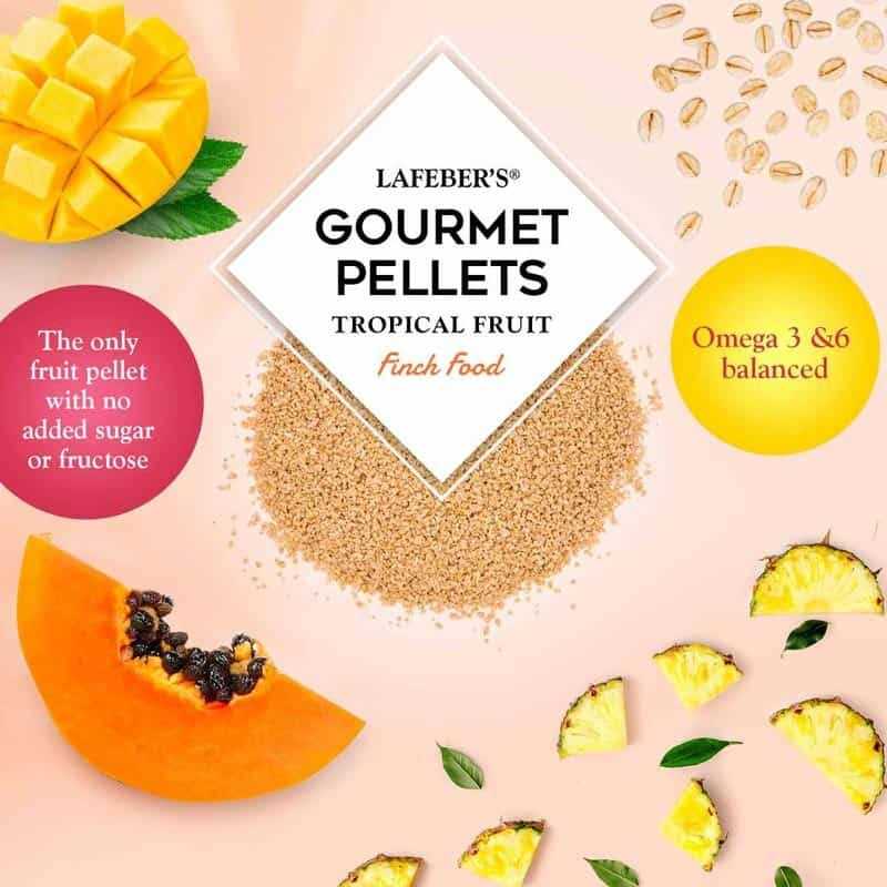 Lafeber Gourmet Pellets Tropical Fruit Bird Food - Image 3