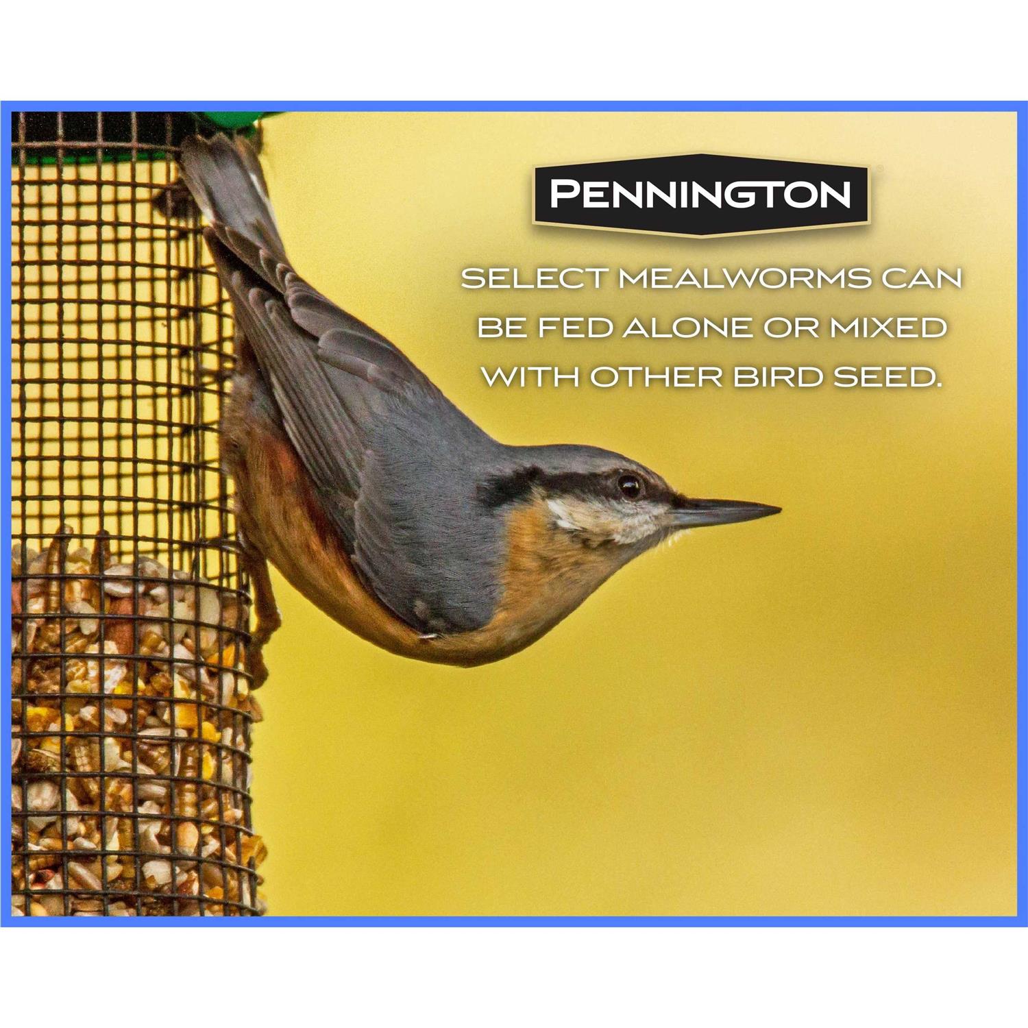 Pennington Mealworms Wild Bird Food - Image 5