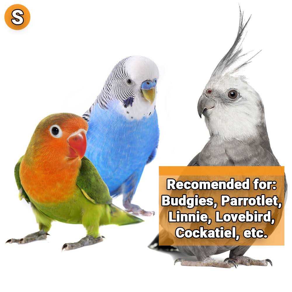 JW Comfy Perch - Image 3