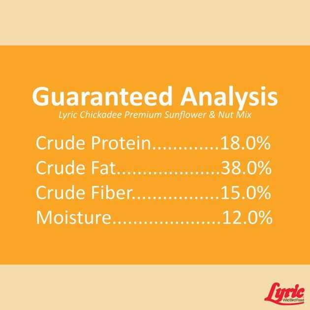 Lyric Chickadee Wild Bird - Image 3