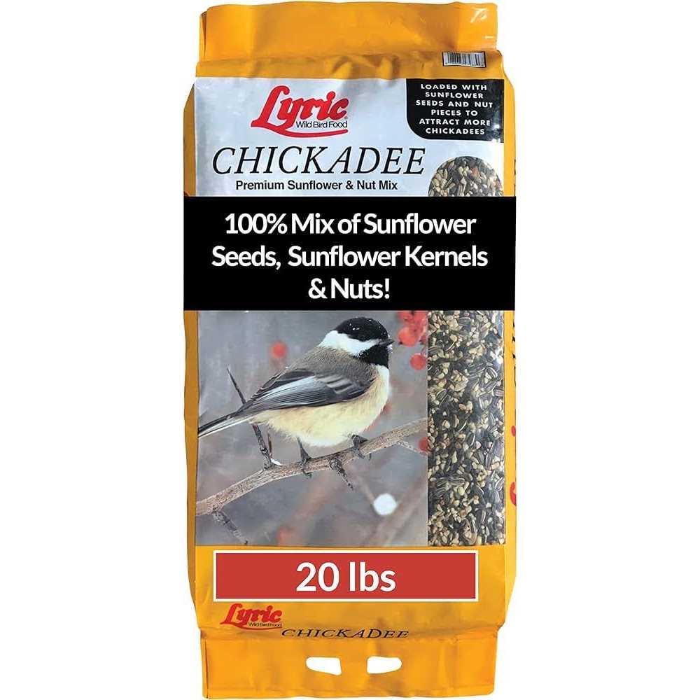 Lyric Chickadee Wild Bird - Image 4