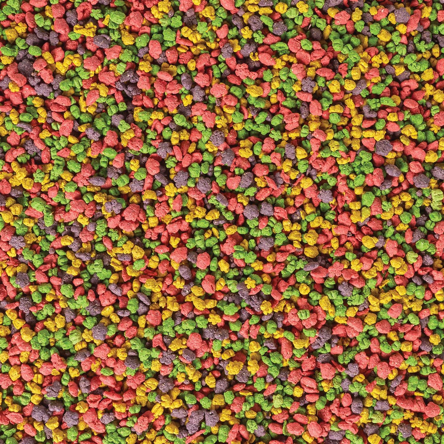 Kaytee Exact Rainbow Cockatiel - Image 4