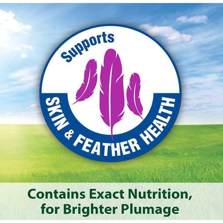 Kaytee Fiesta Cockatiel Food - Image 3