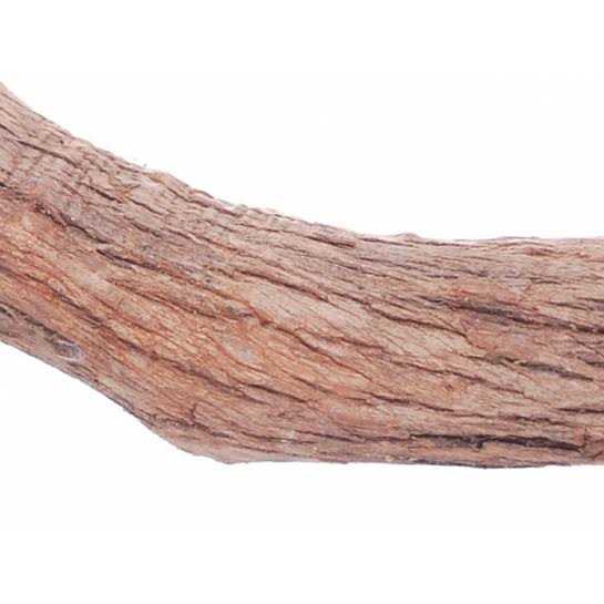 Pollys Hardwood Bird Perch - Image 3