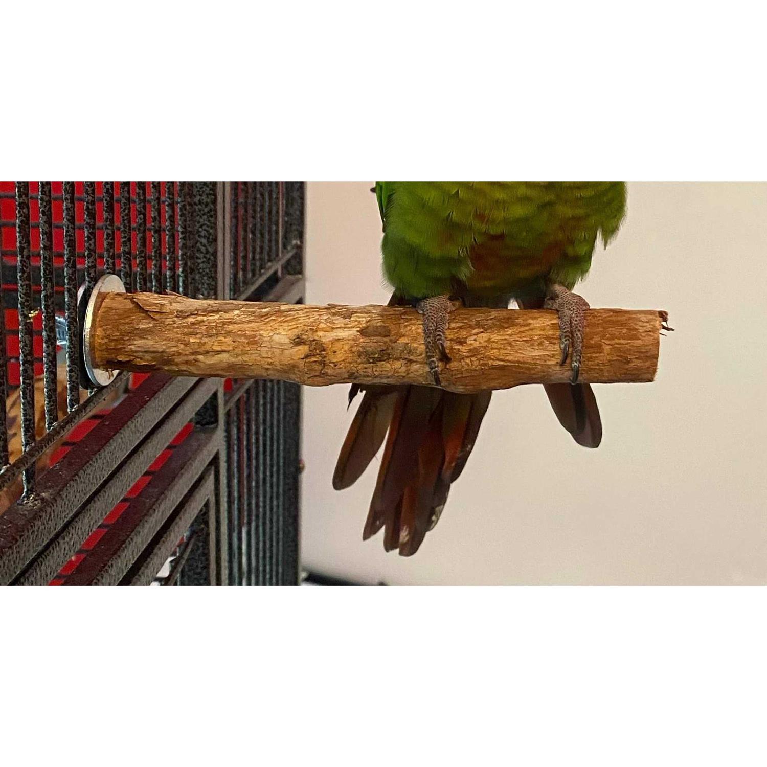 Pollys Hardwood Bird Perch - Image 5