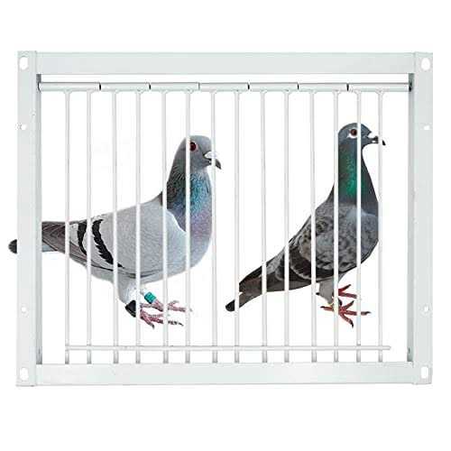 Junniu 11.8in/30cm Pigeon Cage Door One Way Entrance Door Bird T Trap Birdcage Iron Wire Trap Door for Racing Pigeon Bird Cage Breeding Supply - Image 3