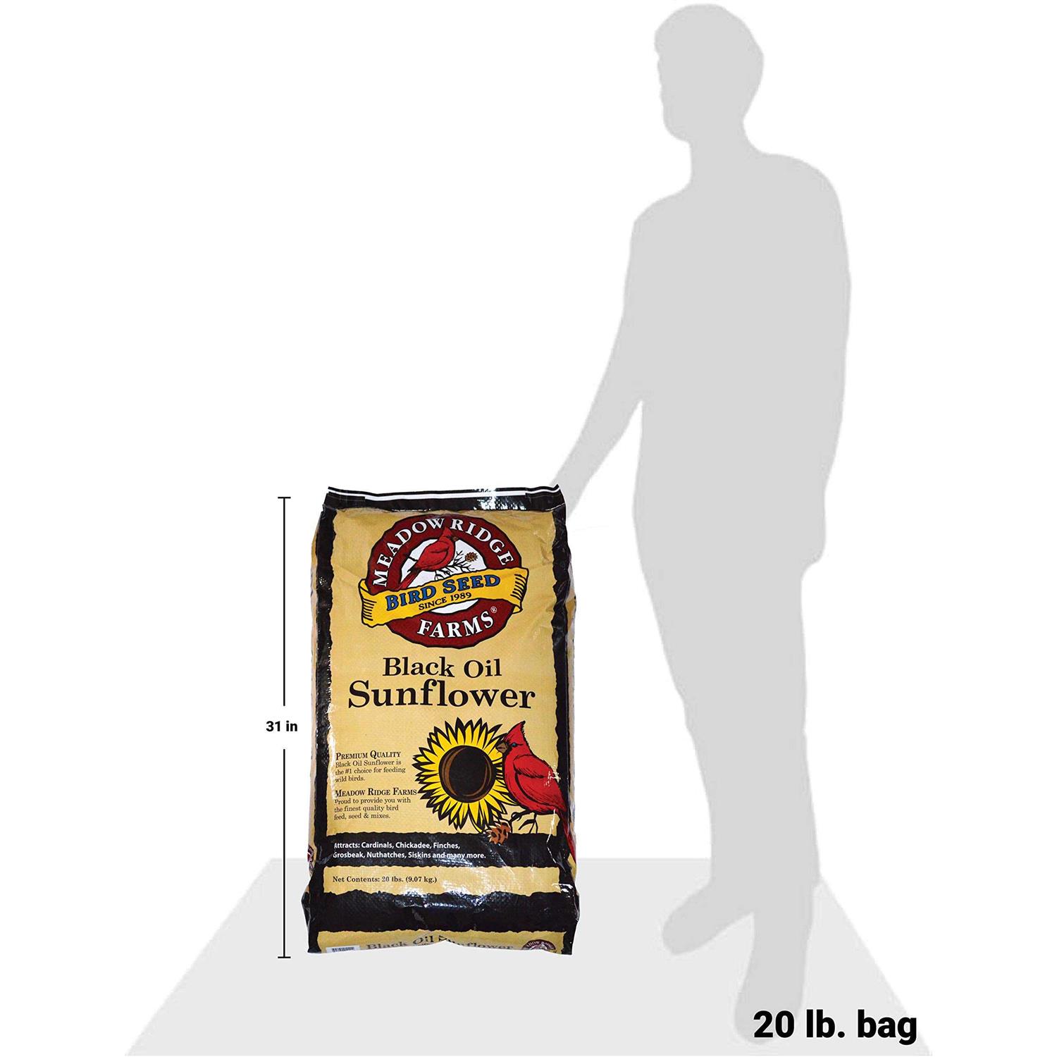 Meadow Ridge Farms 20-Lb. Black Oil Sunflower Bird Seeds - Image 4