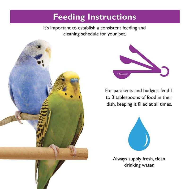 Brown's Tropical Carnival Parakeet Food - Image 5