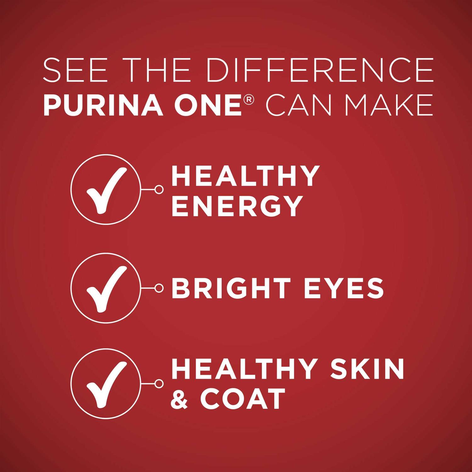 Purina ONE Dry Dog Food Rice Formula - Image 5
