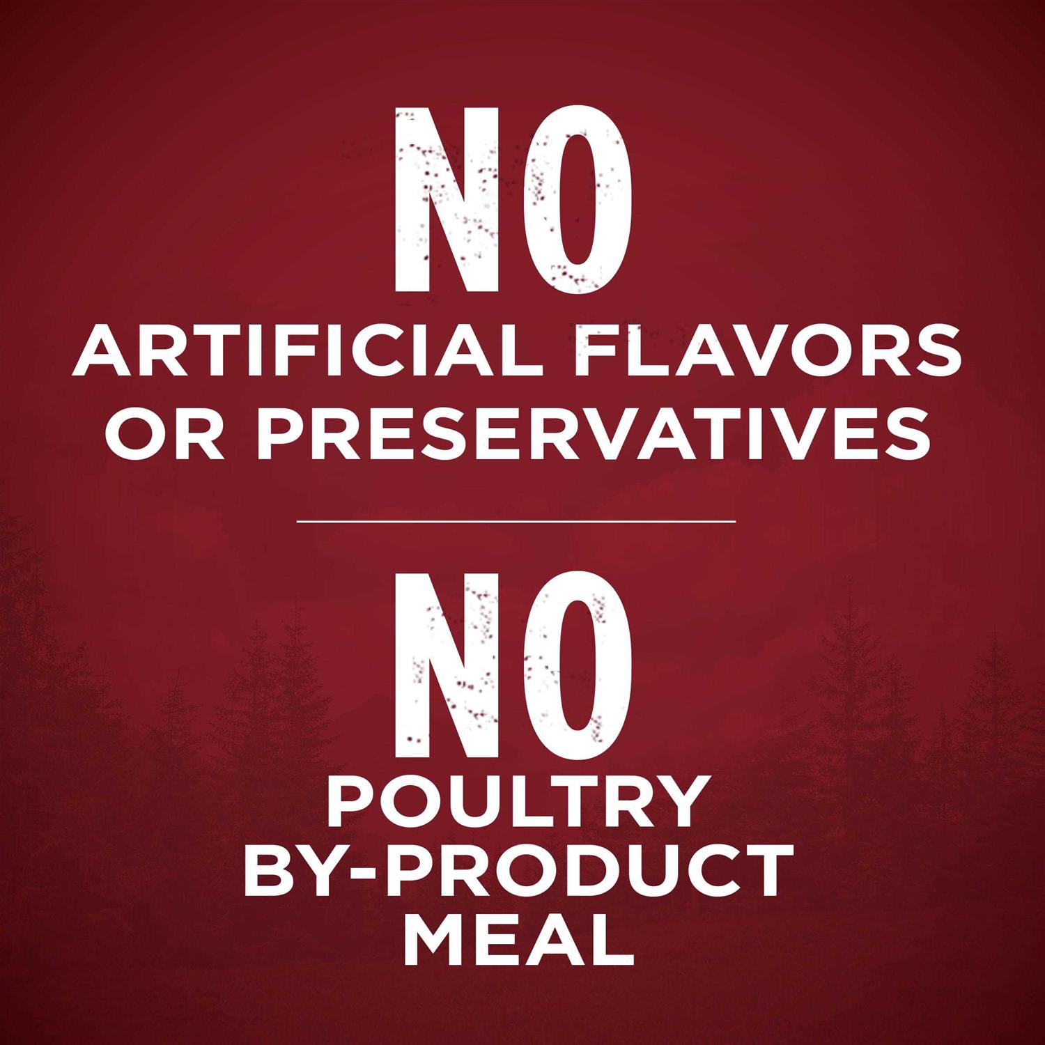 Purina ONE True Instinct Dry Dog Food - Image 3