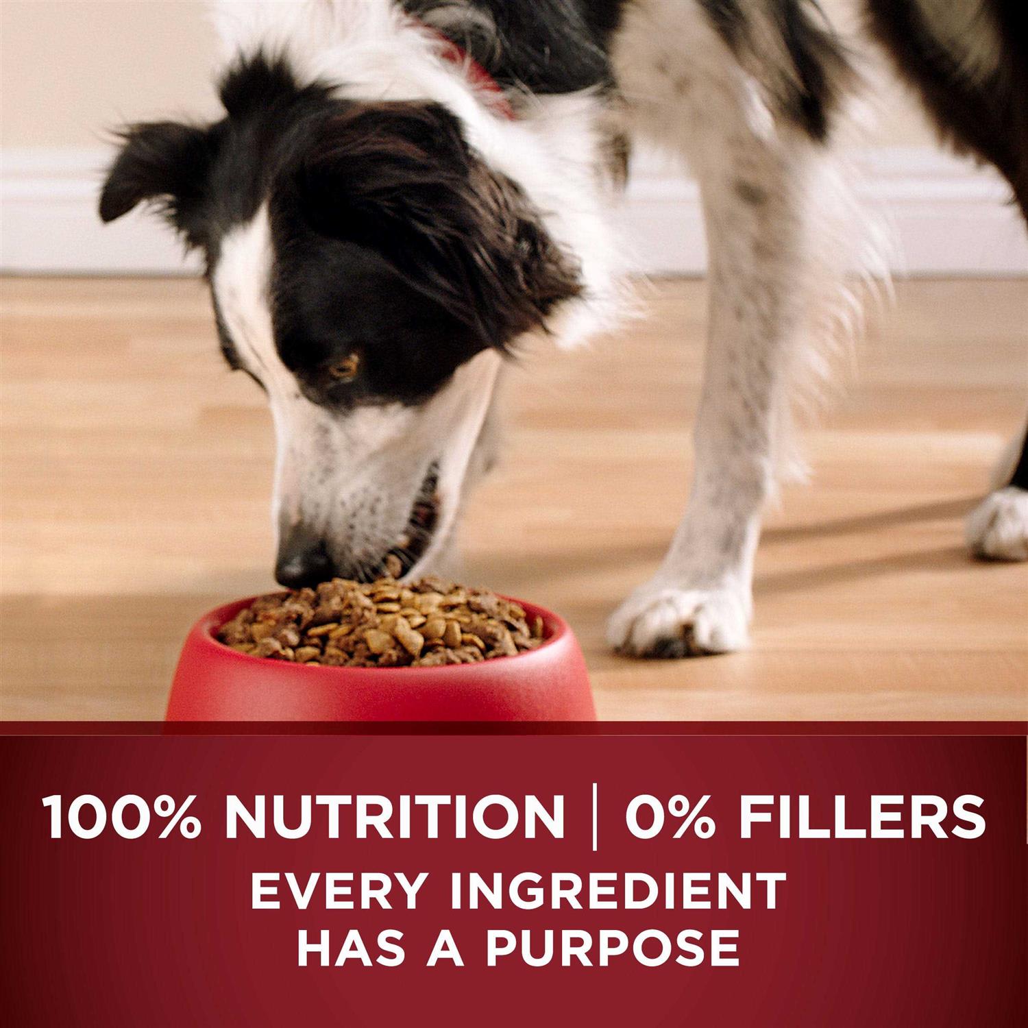 Purina ONE True Instinct Dry Dog Food - Image 5