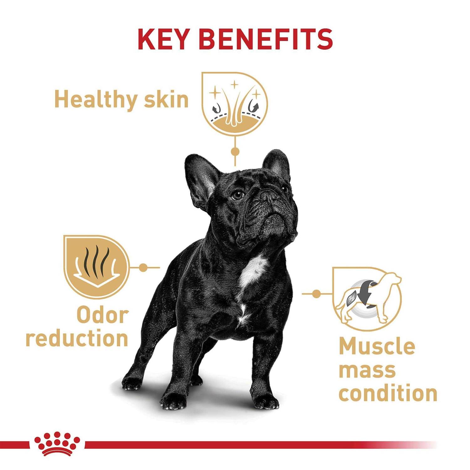 Royal Canin Breed Health Nutrition Bulldog Adult Dry Dog Food - Image 5