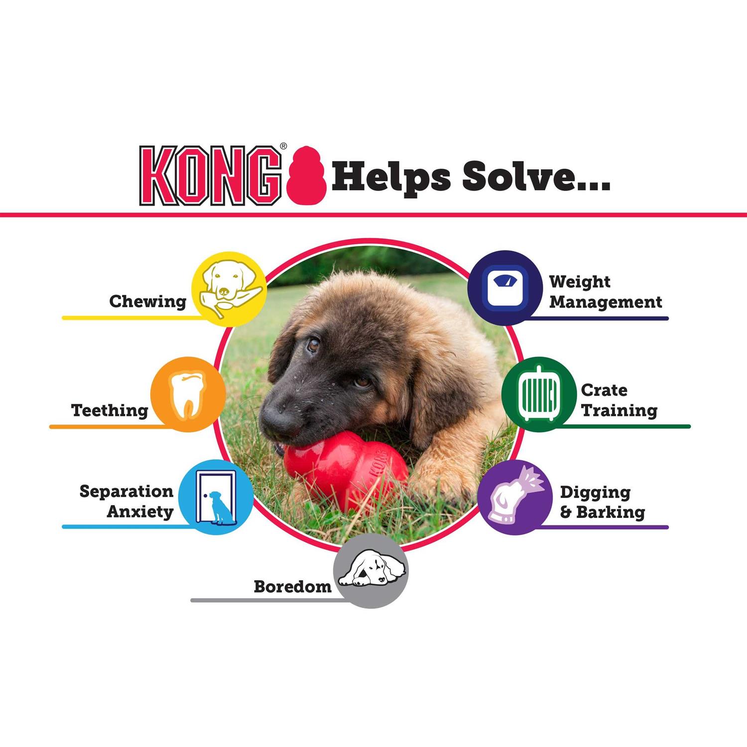Classic KONG Dog Toy - Image 3