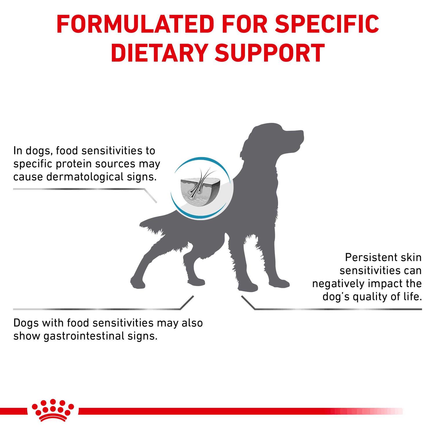 Royal Canin Veterinary Diet Ultamino Dry Dog Food - Image 3