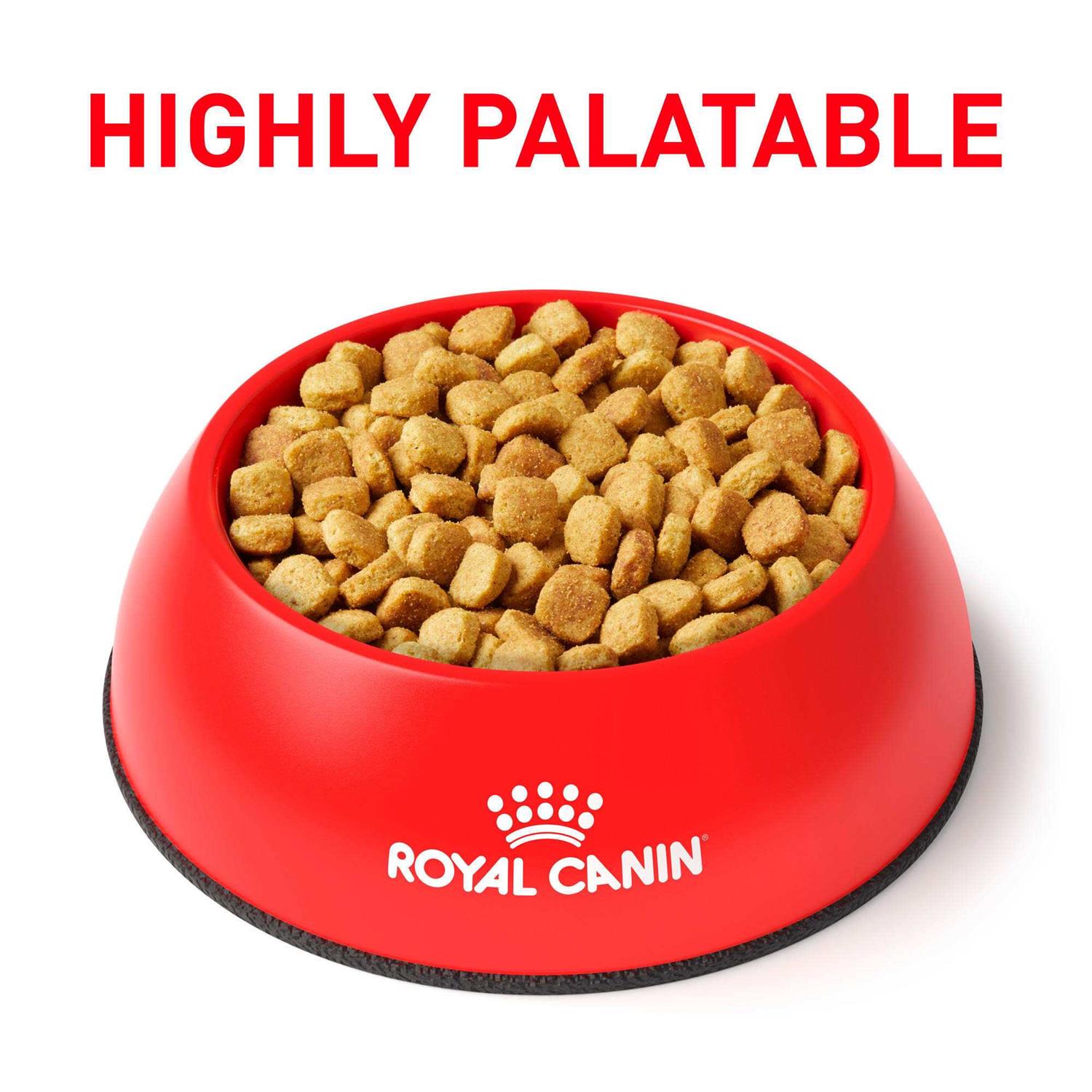 Royal Canin Veterinary Diet Ultamino Dry Dog Food - Image 4