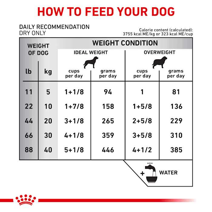 Royal Canin Veterinary Diet Ultamino Dry Dog Food - Image 5