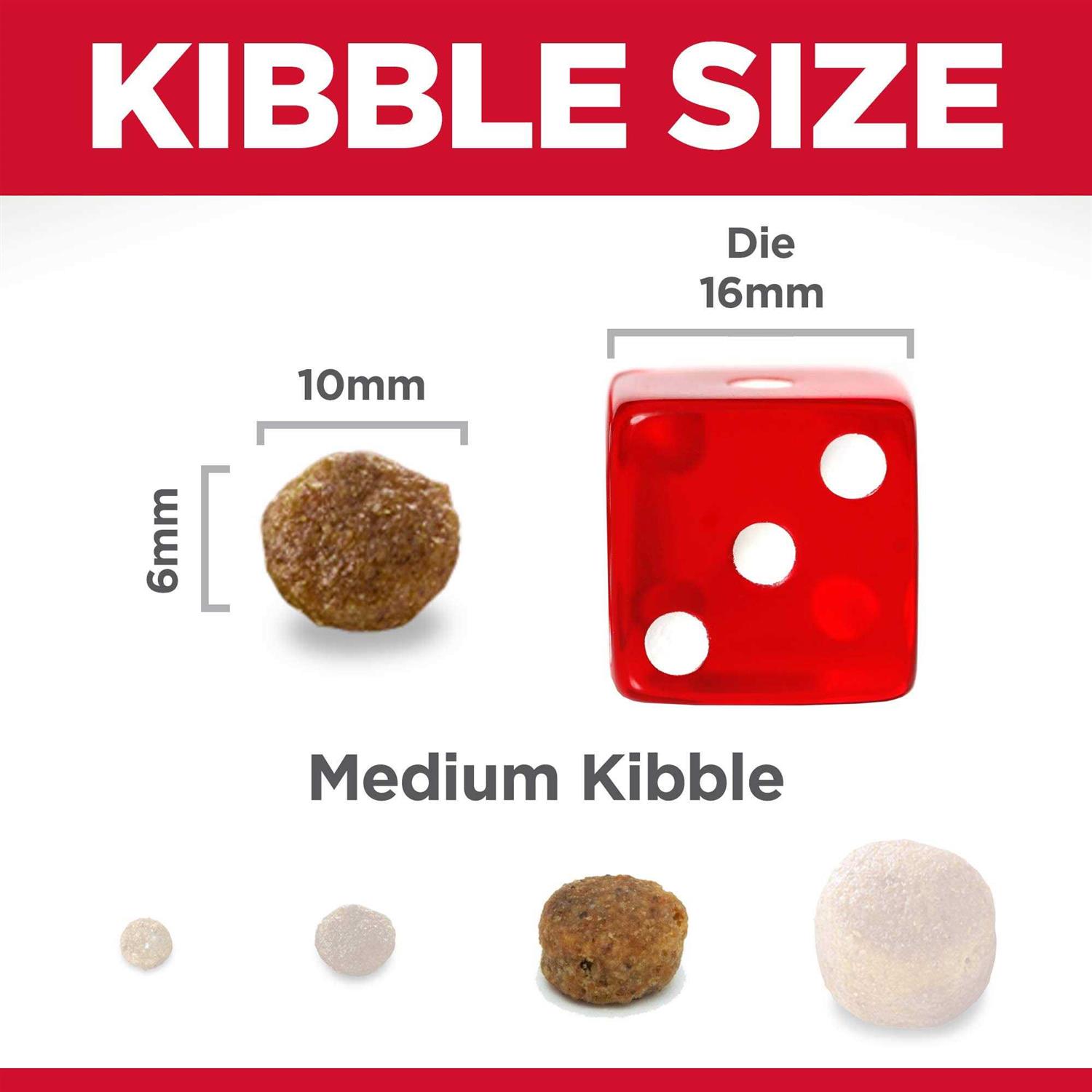 Science Diet Dog Food Recipe - Image 5