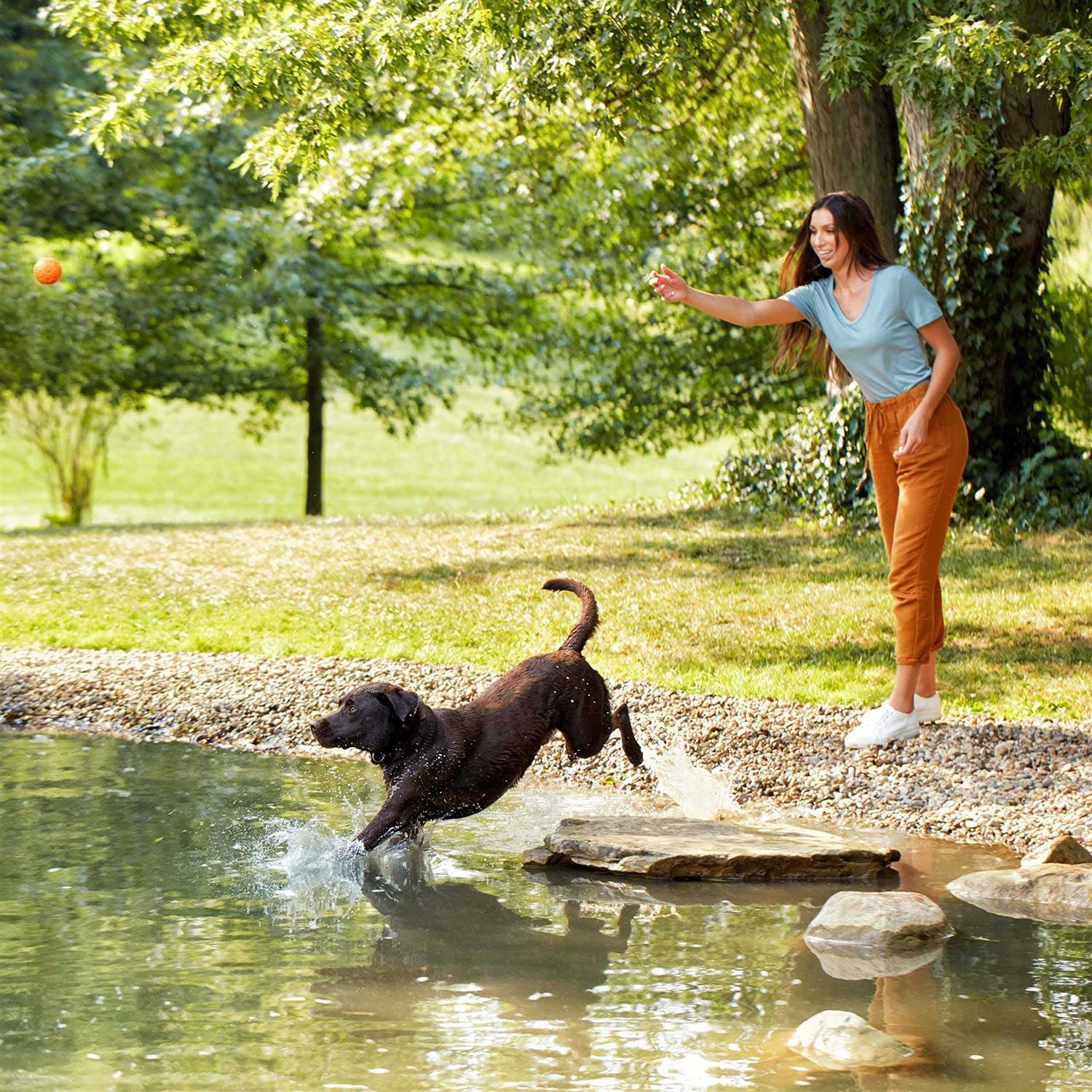 Nature's Recipe Grain Free Dry Dog Food - Image 3