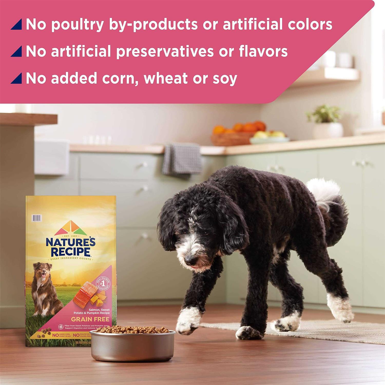 Nature's Recipe Grain Free Dry Dog Food - Image 4