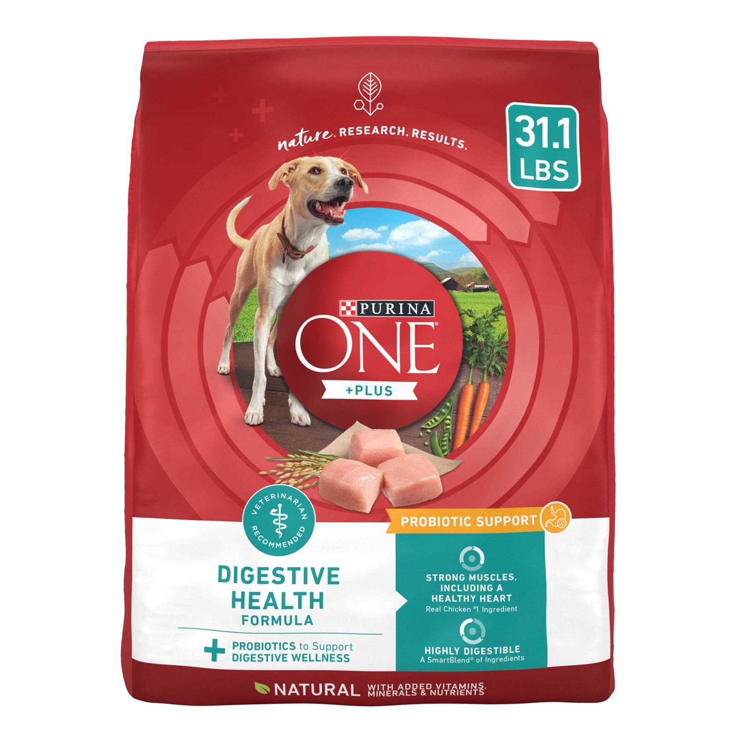 Purina ONE Digestive Health Dry Dog Food