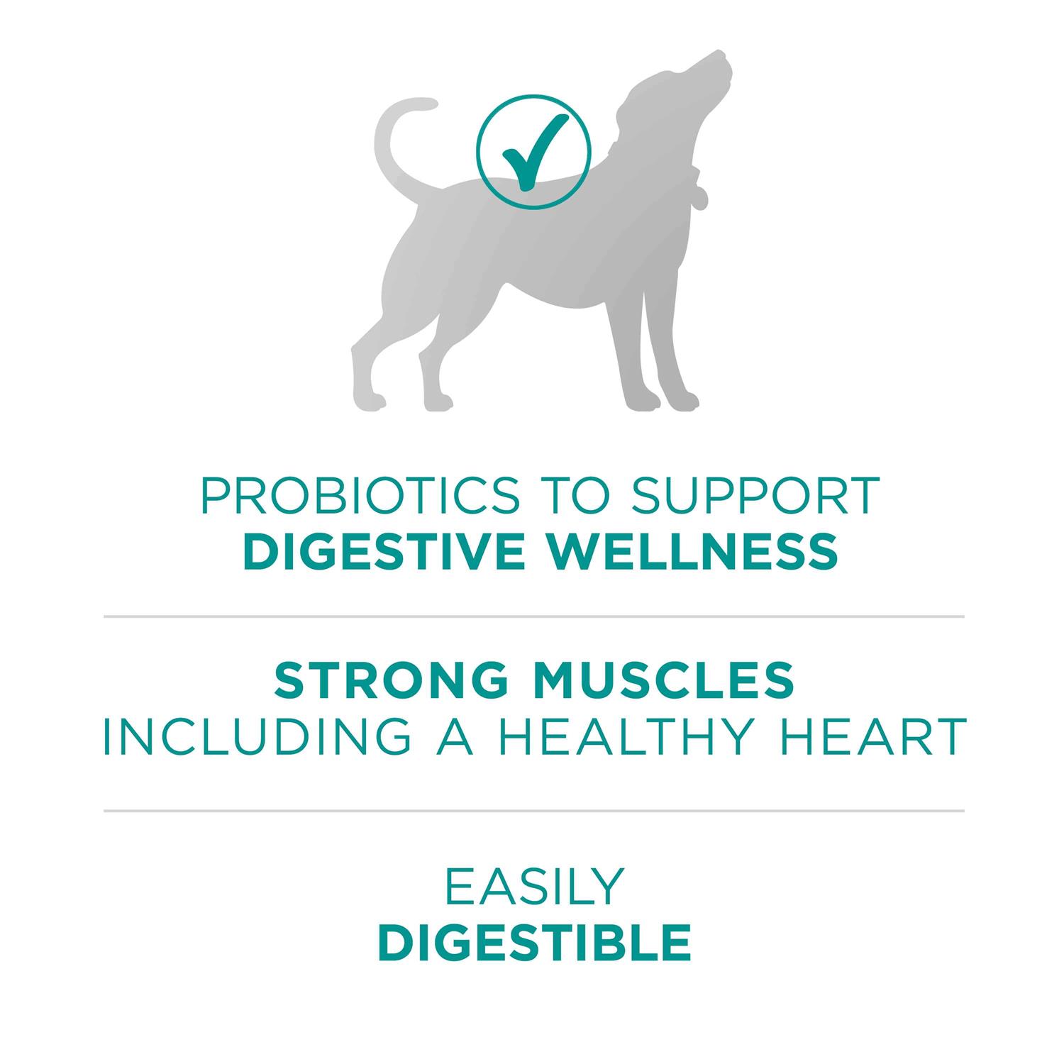 Purina ONE Digestive Health Dry Dog Food - Image 2