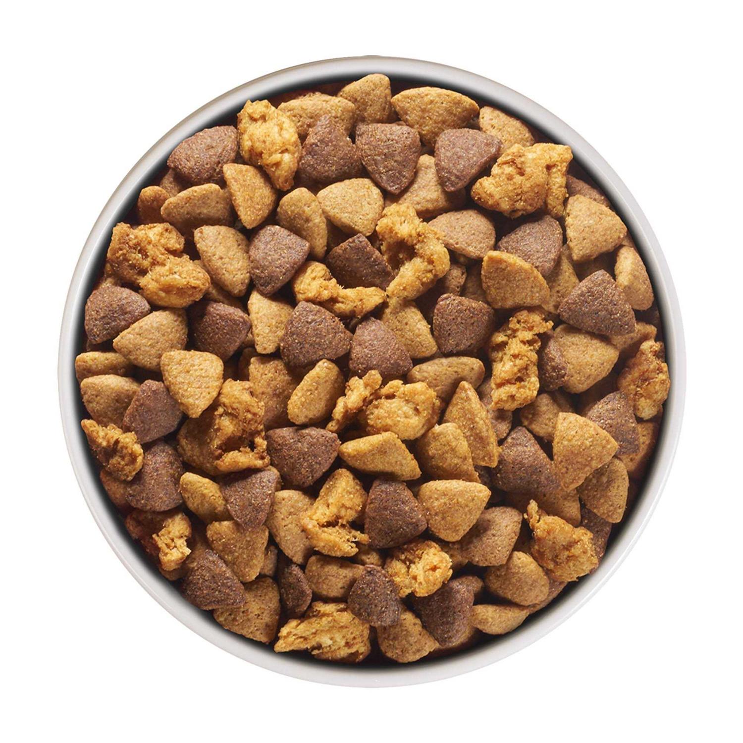 Purina ONE Digestive Health Dry Dog Food - Image 3