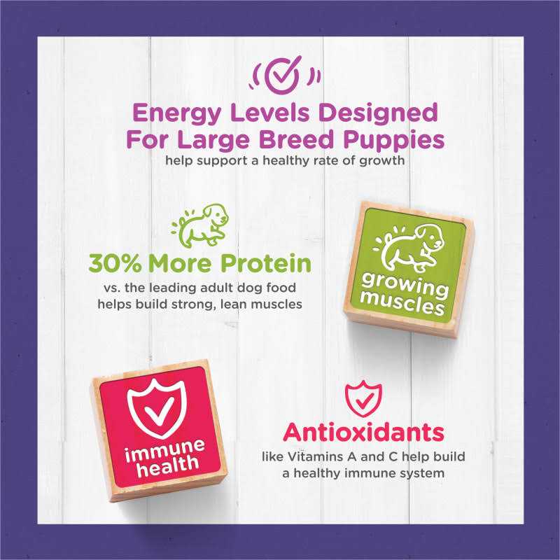 Purina Puppy Chow High Protein Large Breed Dry Puppy Food with Real Chicken - Image 5