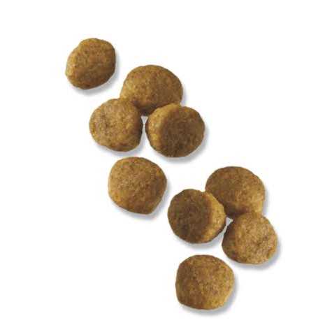 Purina Pro Plan Chicken & Rice Formula Puppy Small Breed Dry Dog Food - Image 2