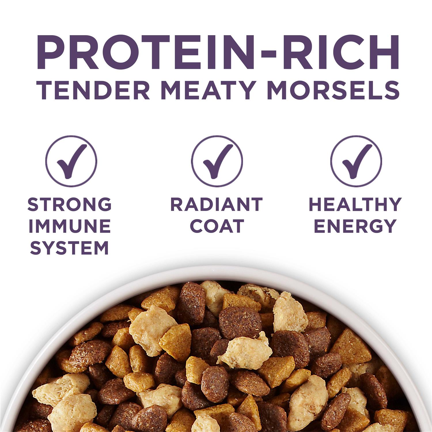 Purina ONE Plus Vibrant Maturity Adult Dry Dog Food Senior - Image 2