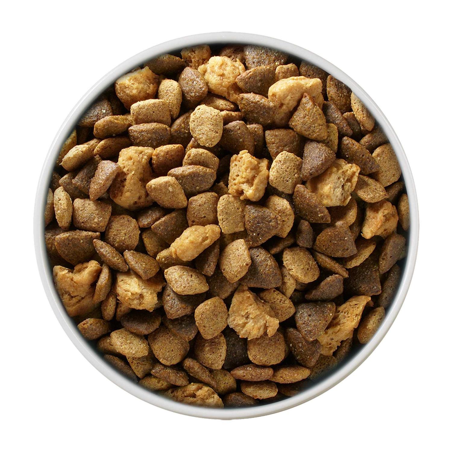 Purina ONE Large Breed Dry Puppy Food - Image 2